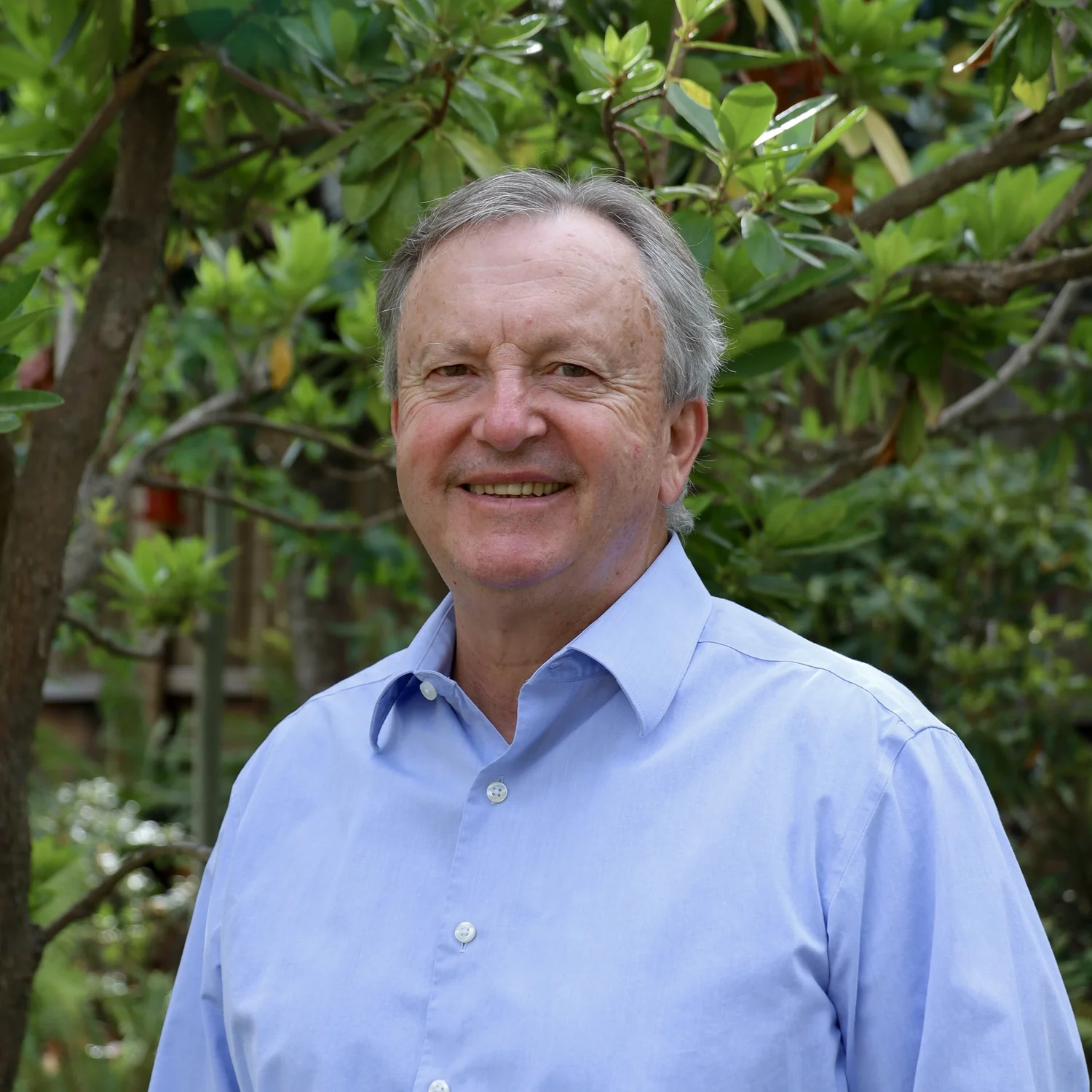 David Willis